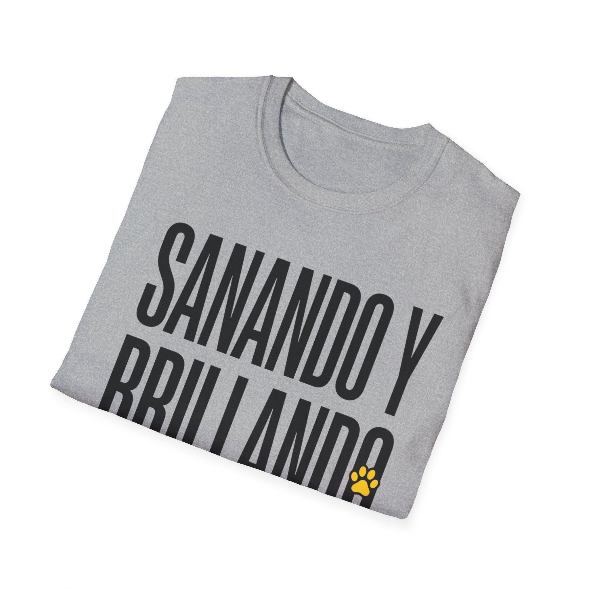 Sanando y Brillando T-Shirt