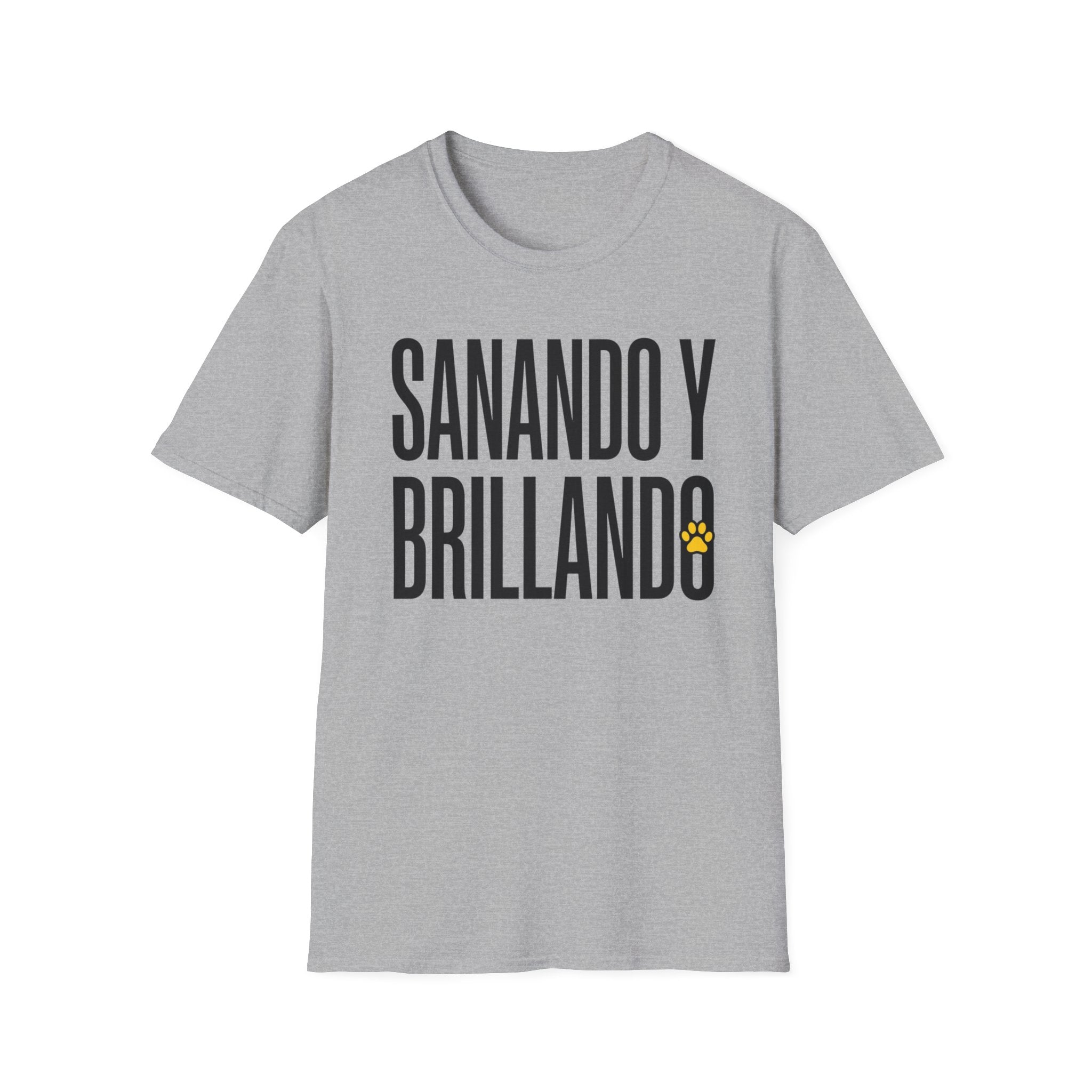 Sanando y Brillando T-Shirt