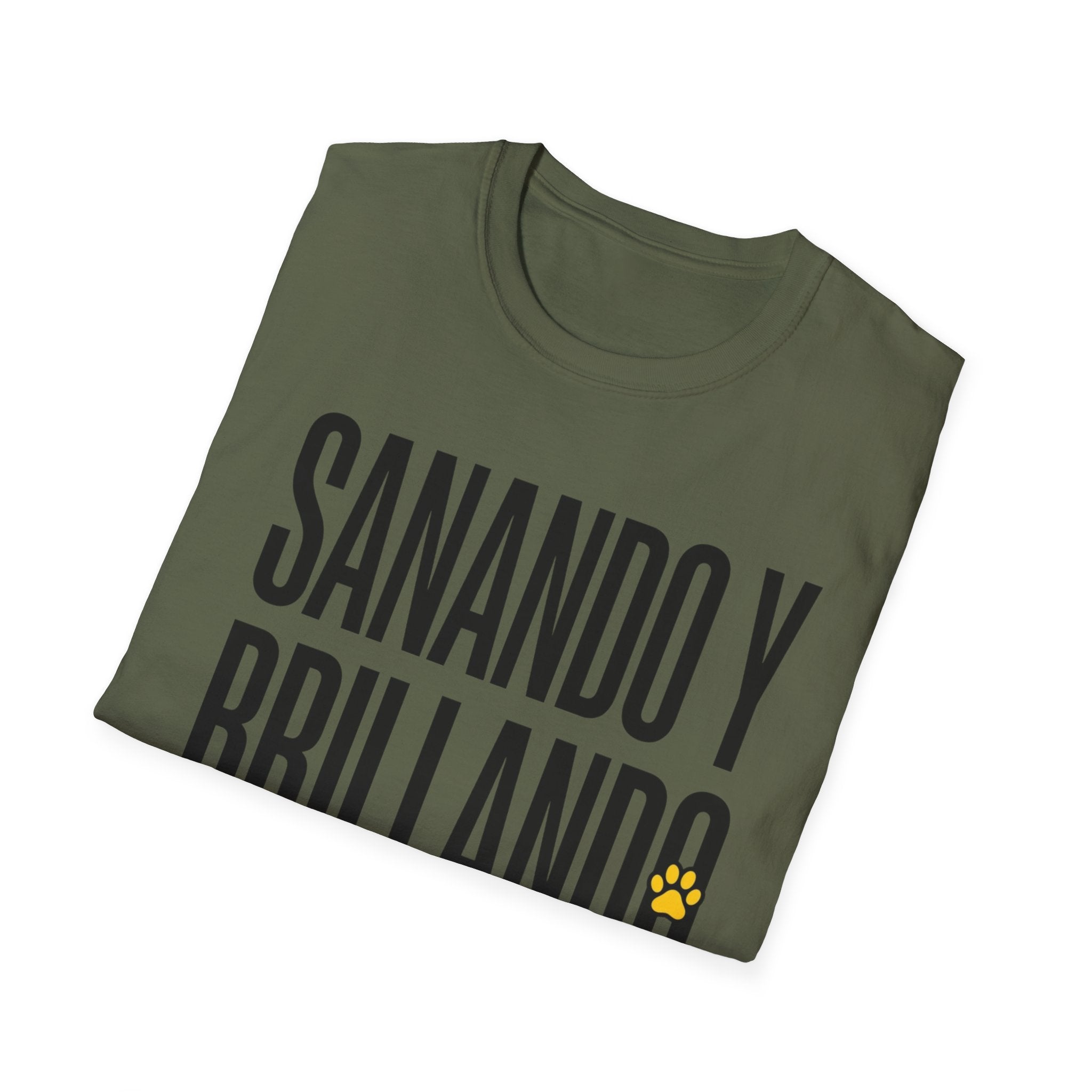 Sanando y Brillando T-Shirt