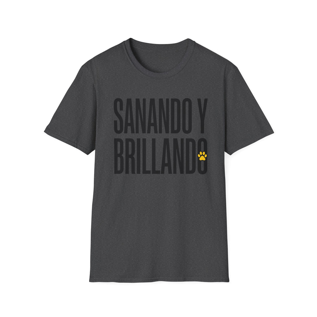 Sanando y Brillando T-Shirt