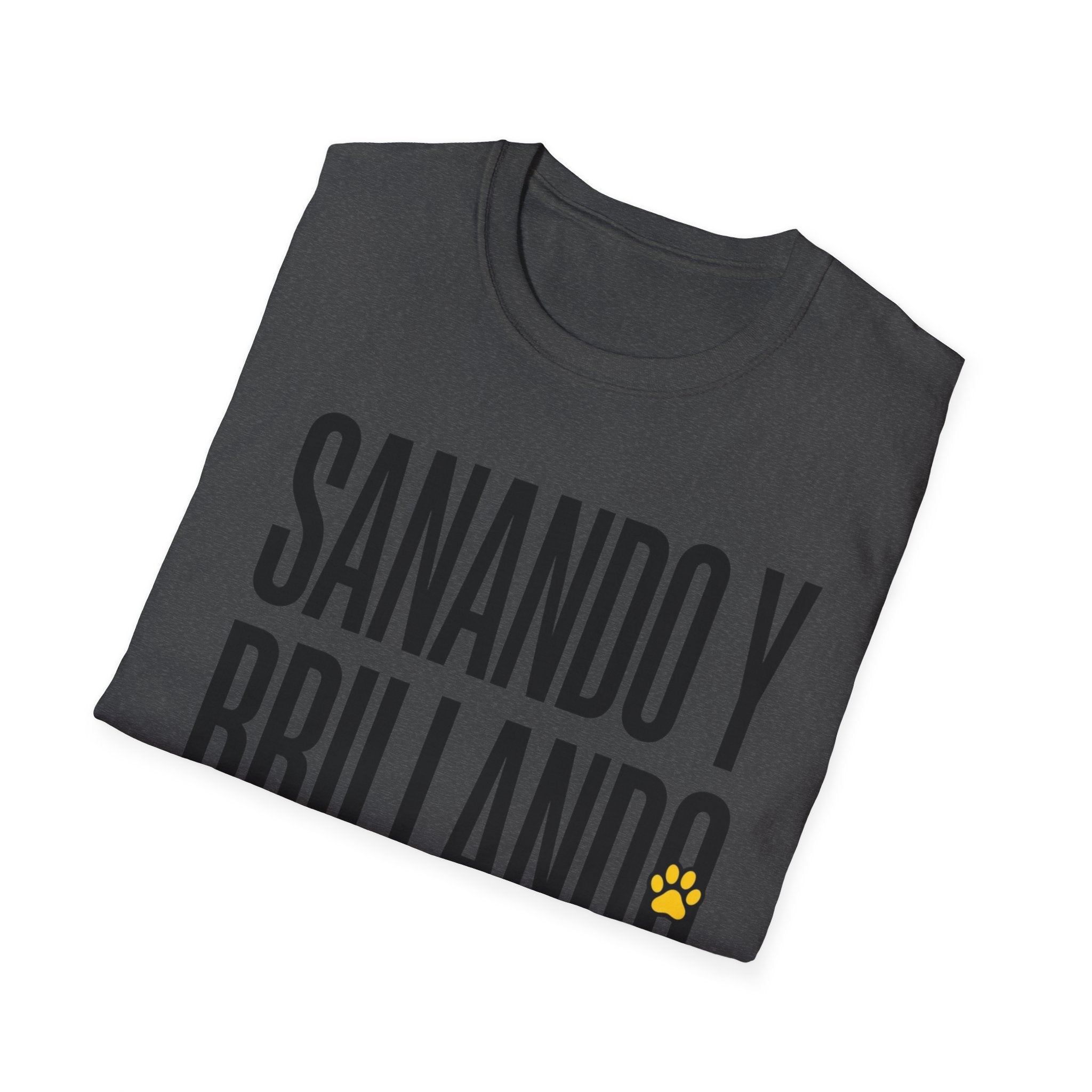 Sanando y Brillando T-Shirt