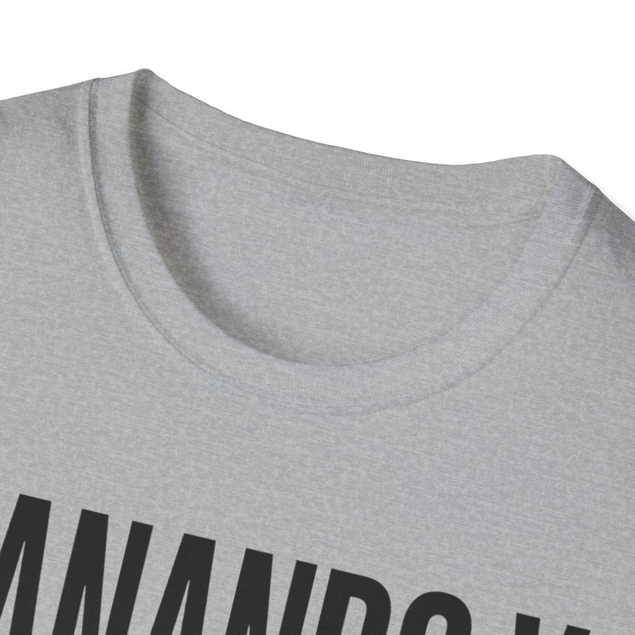 Sanando y Brillando T-Shirt