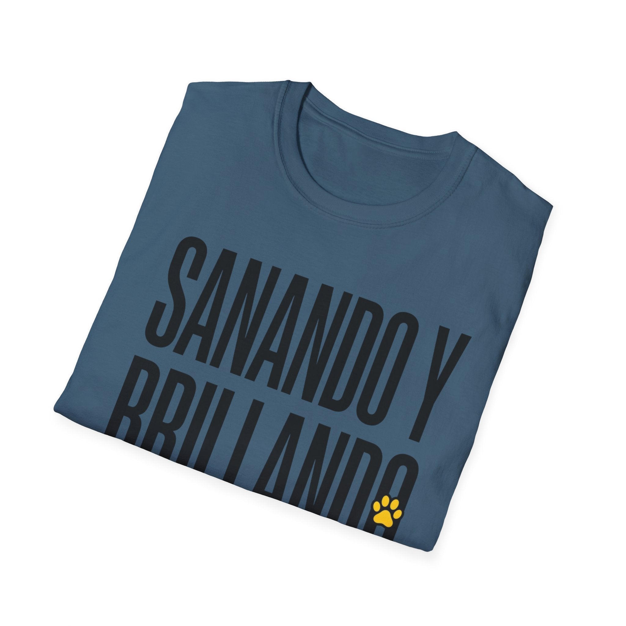 Sanando y Brillando T-Shirt