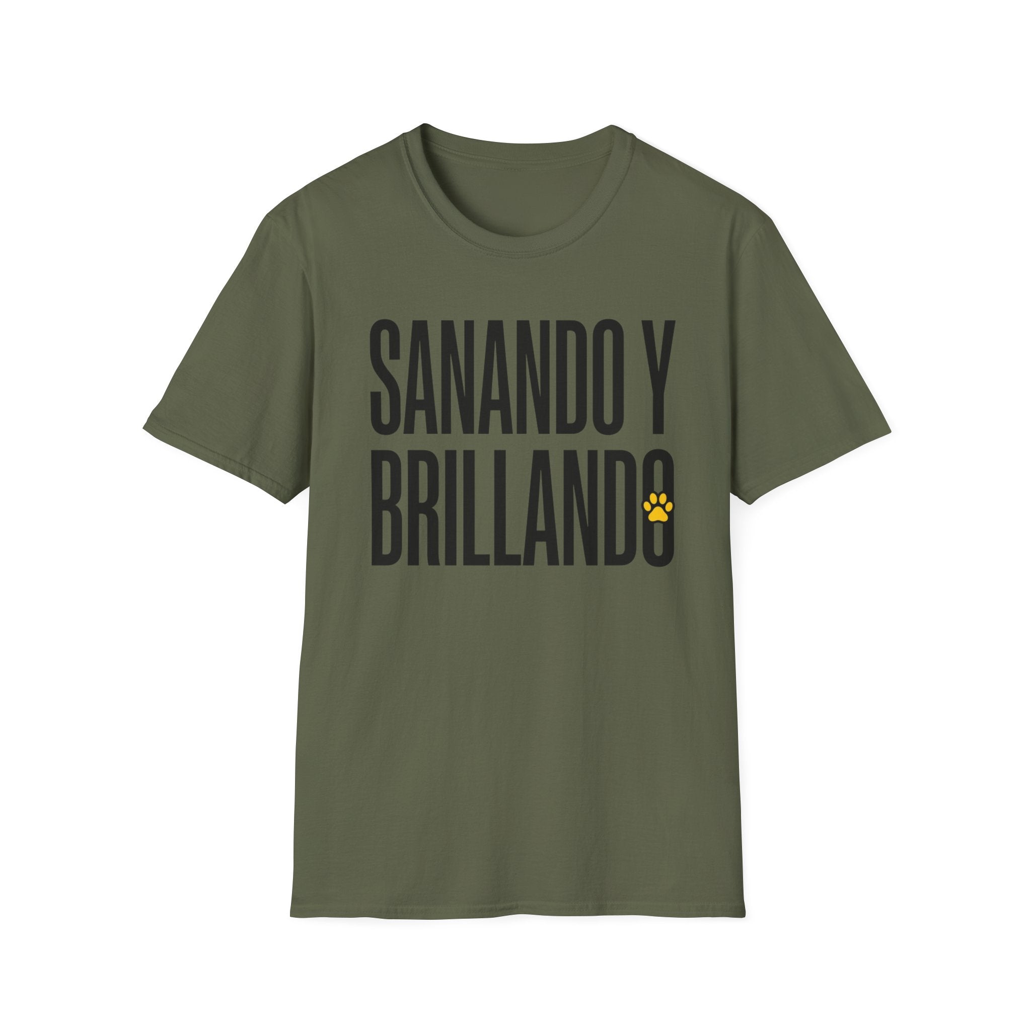 Sanando y Brillando T-Shirt